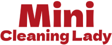Mini Cleaning Lady